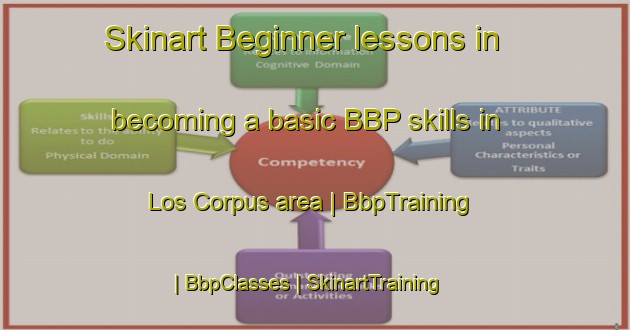 Skinart Beginner lessons in becoming a basic BBP skills in Los Corpus area | BbpTraining | BbpClasses | SkinartTraining-Mexico